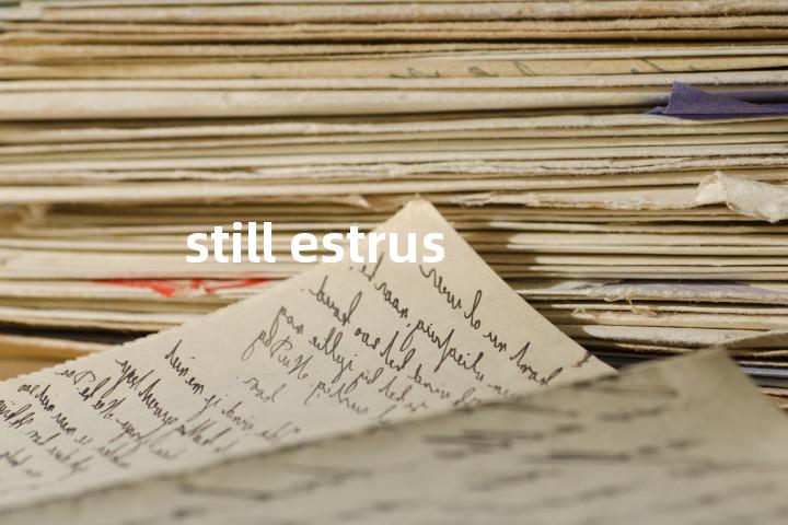 still estrus单词图解，单词释义场景配图