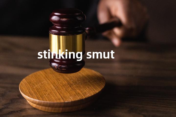 stinking smut单词图解，单词释义场景配图