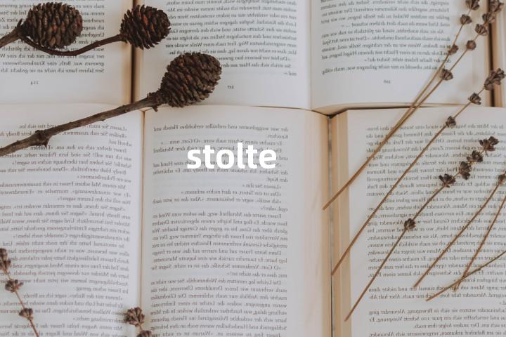 stolte单词图解，单词释义场景配图