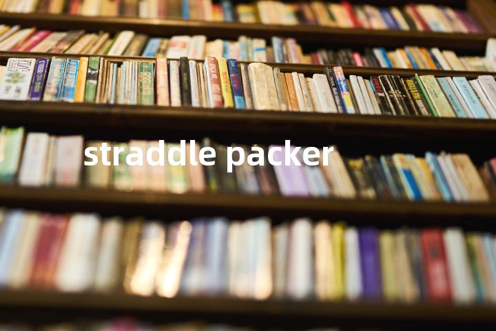 straddle packer单词图解，单词释义场景配图