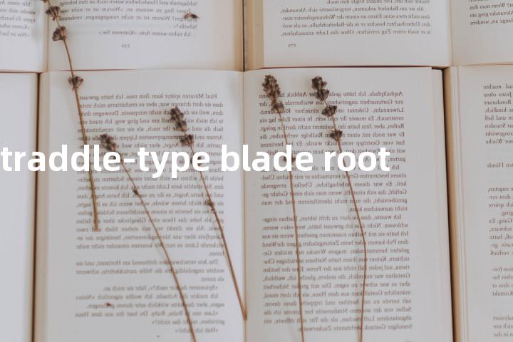 straddle-type blade root单词图解，单词释义场景配图
