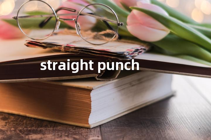 straight punch单词图解，单词释义场景配图