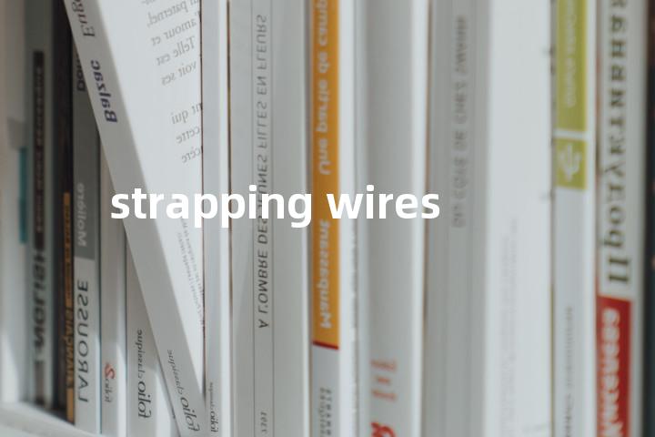 strapping wires单词图解，单词释义场景配图