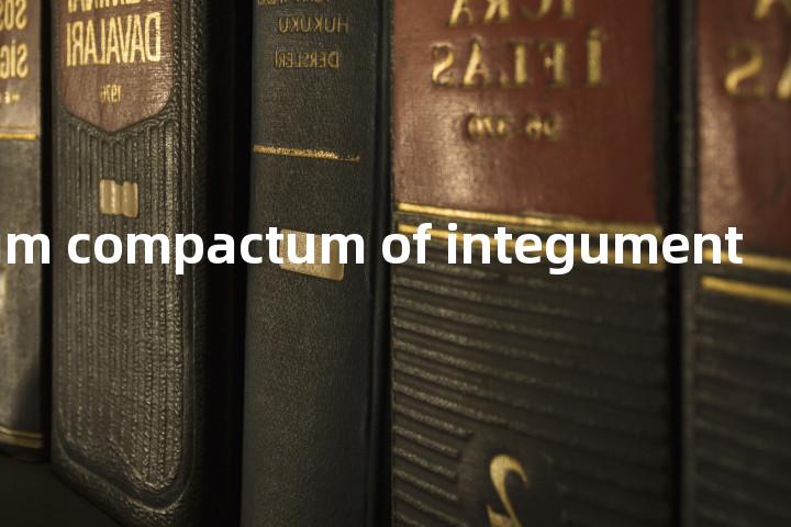stratum compactum of integument单词图解，单词释义场景配图