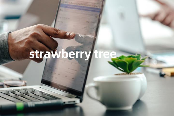 strawberry tree单词图解，单词释义场景配图