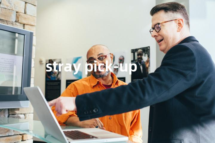 stray pick-up单词图解，单词释义场景配图