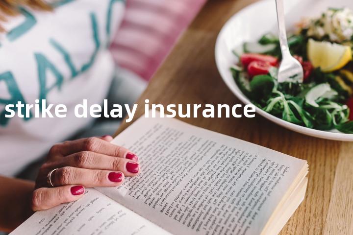 strike delay insurance单词图解，单词释义场景配图