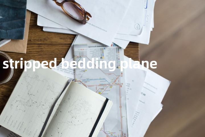 stripped bedding plane单词图解，单词释义场景配图