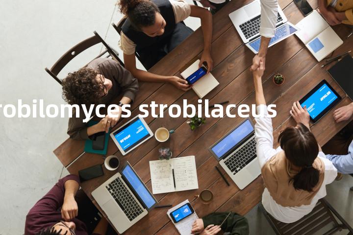 strobilomyces strobilaceus单词图解，单词释义场景配图