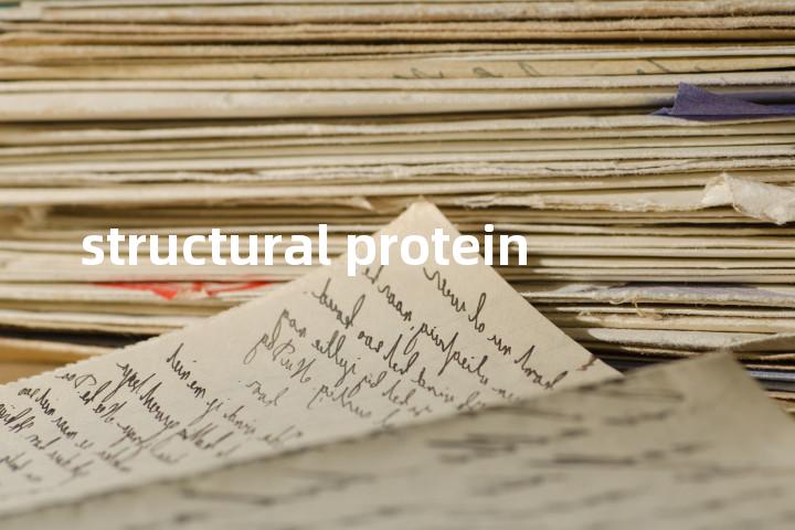 structural protein单词图解，单词释义场景配图