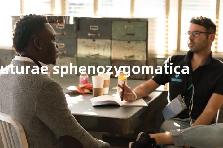 suturae sphenozygomatica单词图解，单词释义场景配图