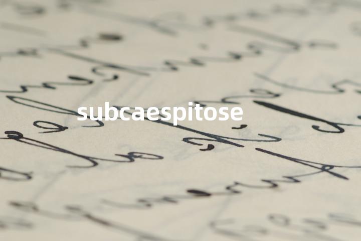 subcaespitose单词图解，单词释义场景配图