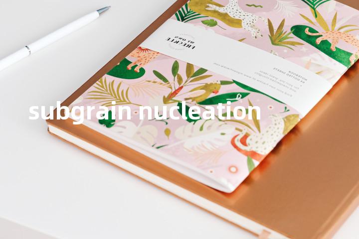 subgrain nucleation单词图解，单词释义场景配图