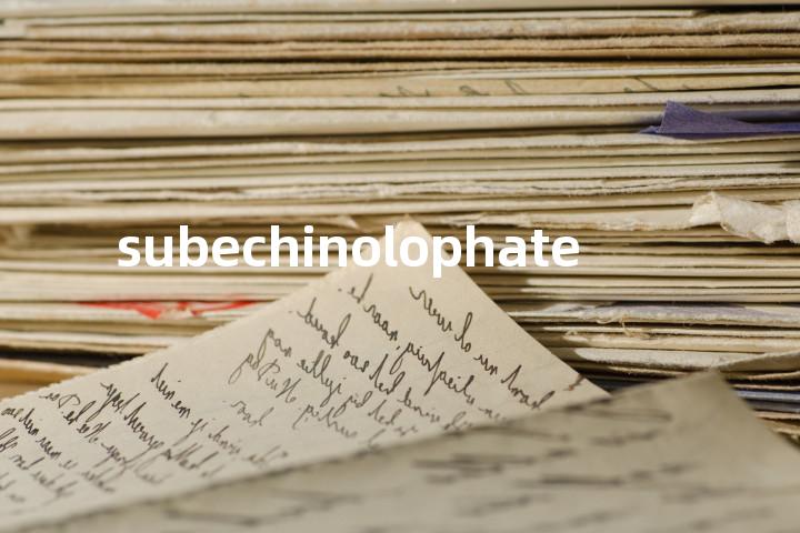 subechinolophate单词图解，单词释义场景配图
