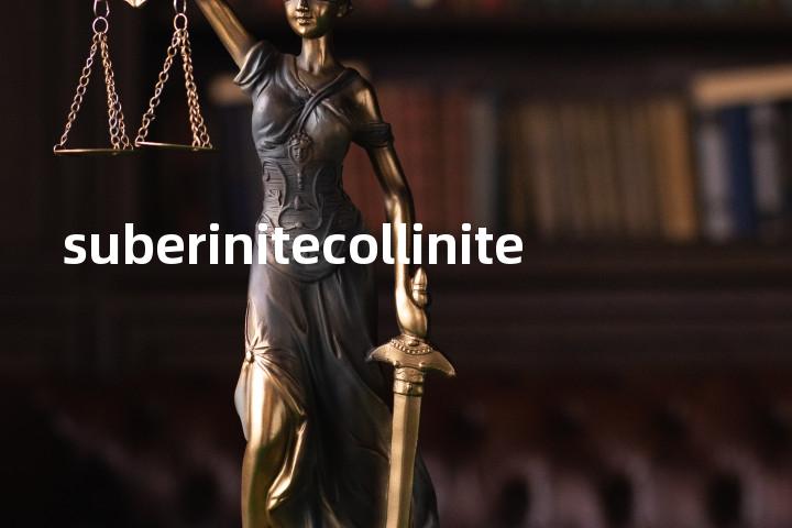 suberinitecollinite单词图解，单词释义场景配图