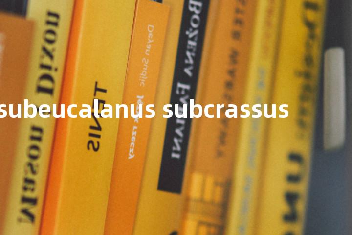 subeucalanus subcrassus单词图解，单词释义场景配图