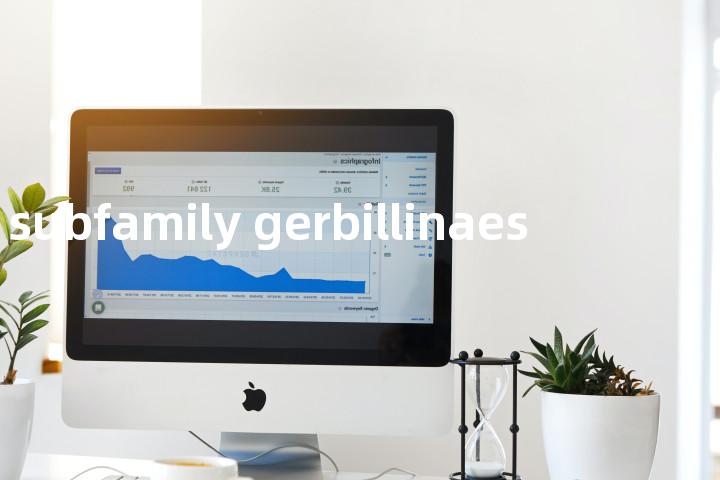 subfamily gerbillinaes单词图解，单词释义场景配图