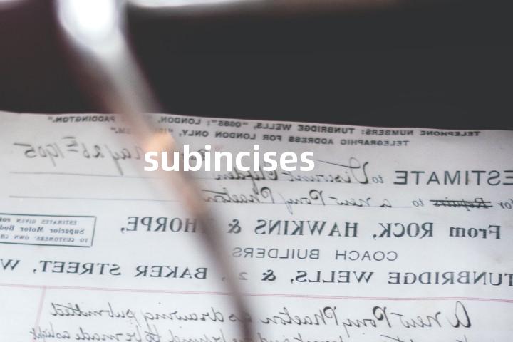 subincises单词图解，单词释义场景配图