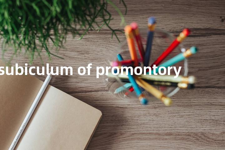 subiculum of promontory单词图解，单词释义场景配图