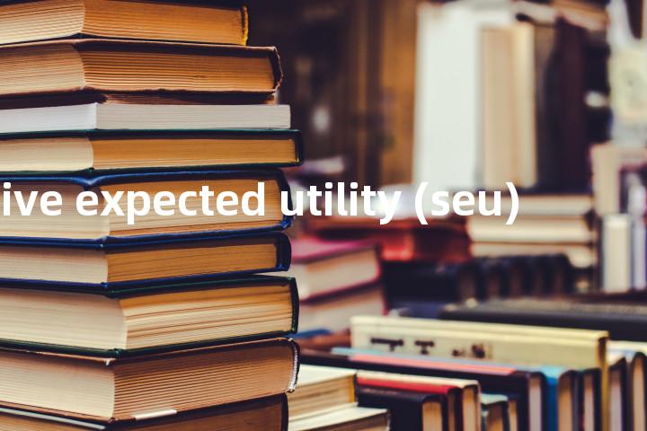 subjective expected utility (seu)单词图解，单词释义场景配图