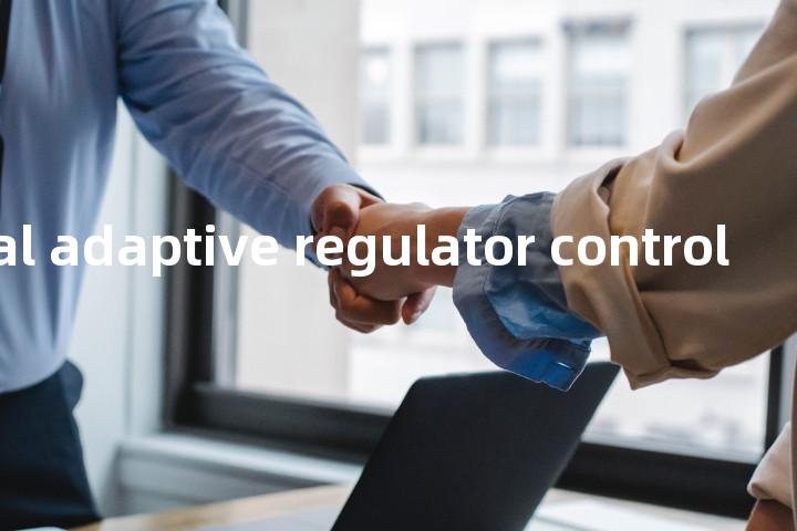 suboptimal adaptive regulator control单词图解，单词释义场景配图