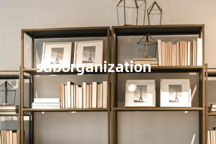 suborganization单词图解，单词释义场景配图