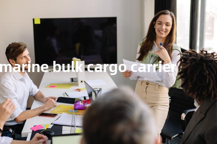 submarine bulk cargo carrier单词图解，单词释义场景配图