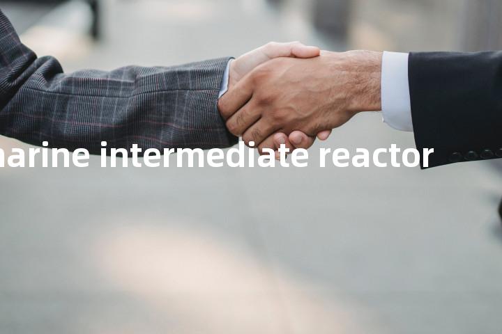 submarine intermediate reactor单词图解，单词释义场景配图