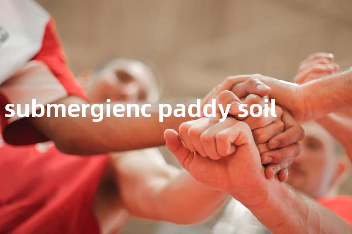 submergienc paddy soil单词图解，单词释义场景配图