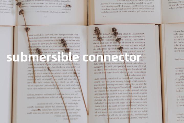 submersible connector单词图解，单词释义场景配图
