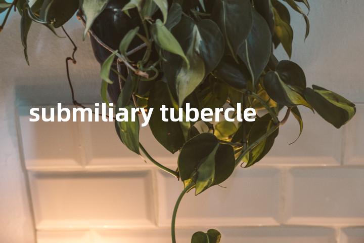 submiliary tubercle单词图解，单词释义场景配图