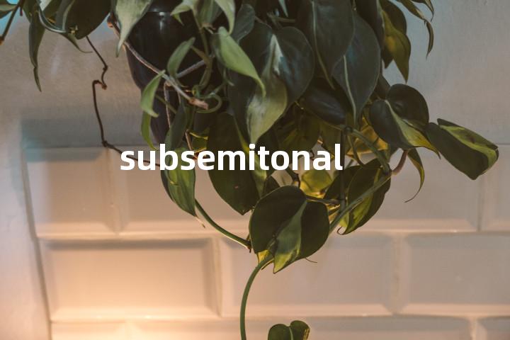 subsemitonal单词图解，单词释义场景配图