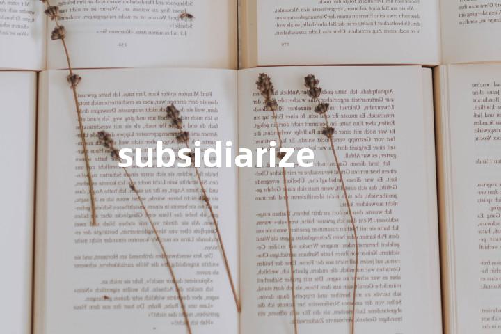 subsidiarize单词图解，单词释义场景配图