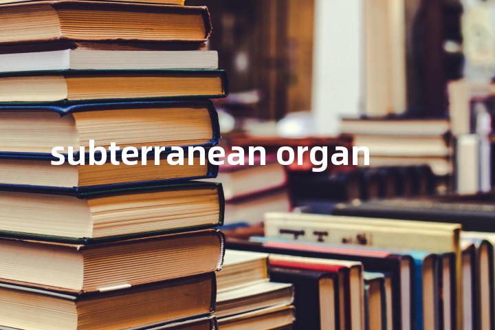 subterranean organ单词图解，单词释义场景配图