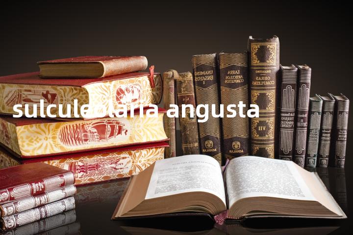 sulculeolaria angusta单词图解，单词释义场景配图