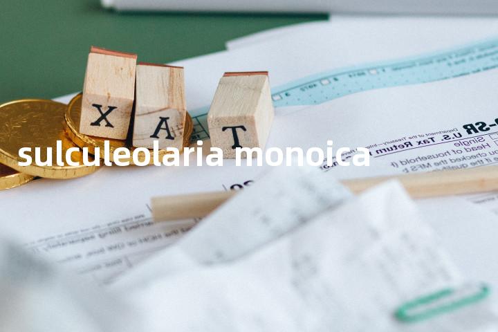 sulculeolaria monoica单词图解，单词释义场景配图