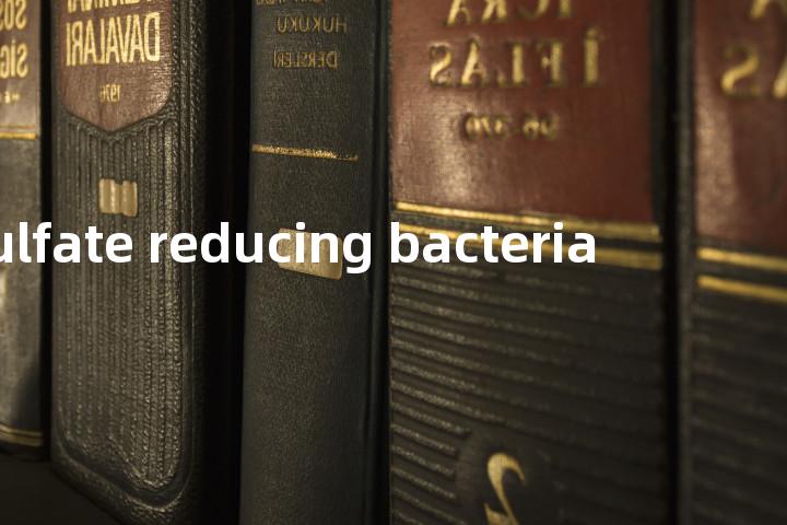 sulfate reducing bacteria单词图解，单词释义场景配图