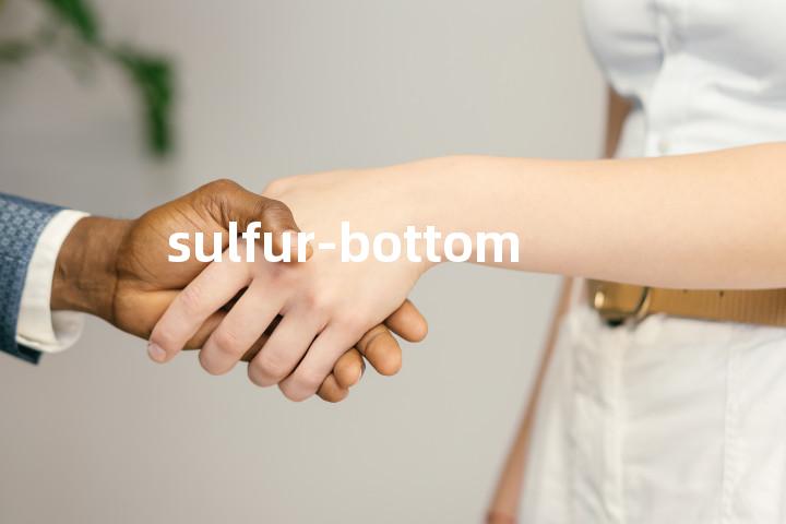 sulfur-bottom单词图解，单词释义场景配图