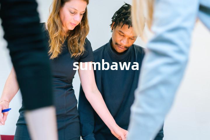 sumbawa单词图解，单词释义场景配图