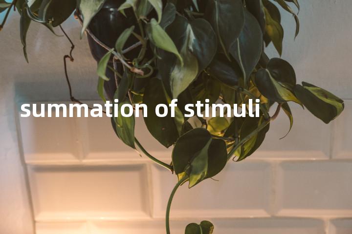 summation of stimuli单词图解，单词释义场景配图