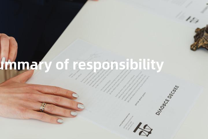 summary of responsibility单词图解，单词释义场景配图