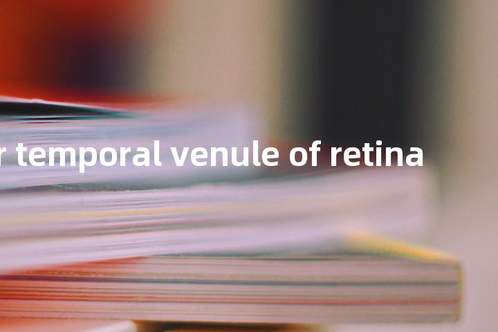 superior temporal venule of retina单词图解，单词释义场景配图