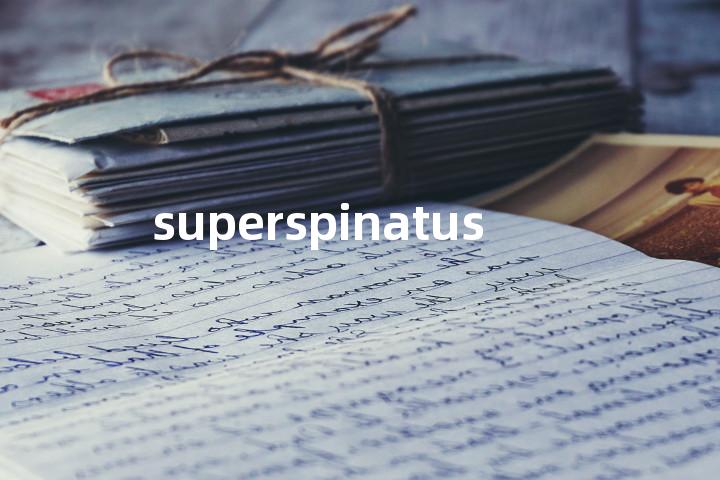 superspinatus单词图解，单词释义场景配图
