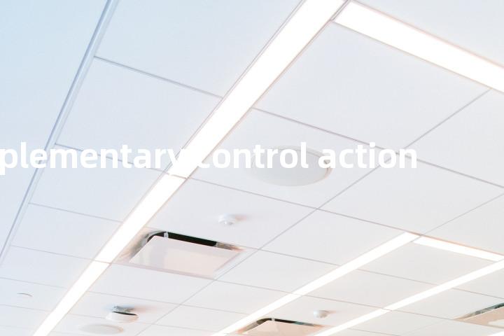 supplementary control action单词图解，单词释义场景配图