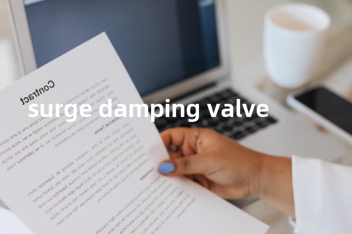 surge damping valve单词图解，单词释义场景配图