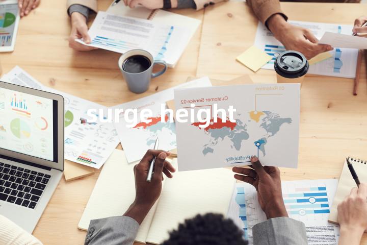 surge height单词图解，单词释义场景配图