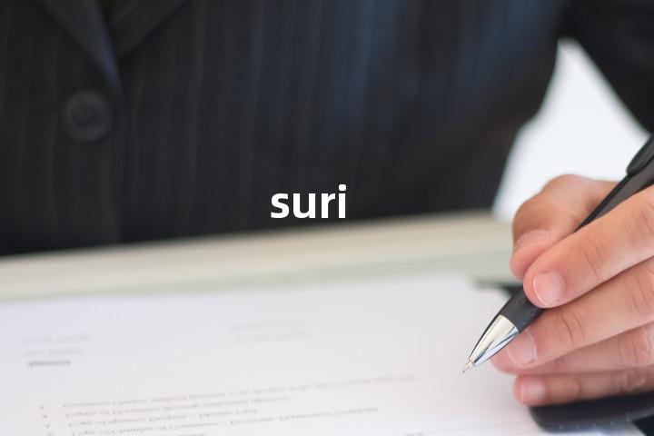 suri单词图解，单词释义场景配图