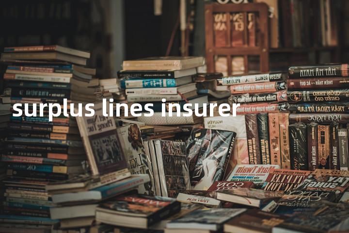 surplus lines insurer单词图解，单词释义场景配图
