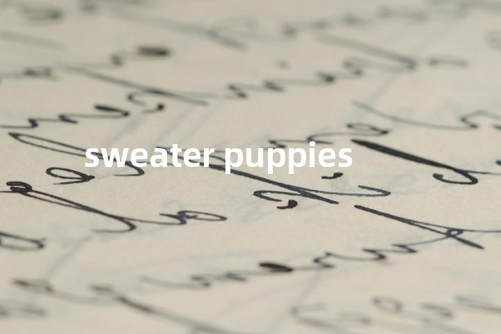 sweater puppies单词图解，单词释义场景配图