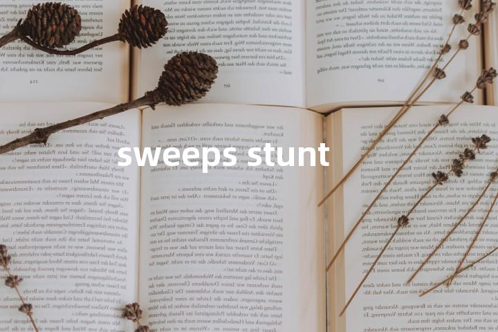 sweeps stunt单词图解，单词释义场景配图